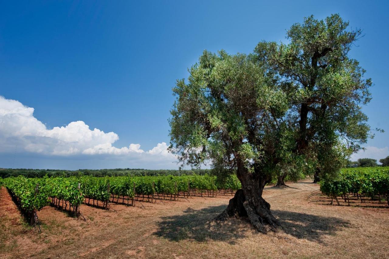 Masseria Le Fabriche Maruggio Exterior photo